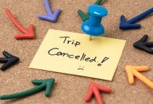 Best Pandemic Holiday Companies